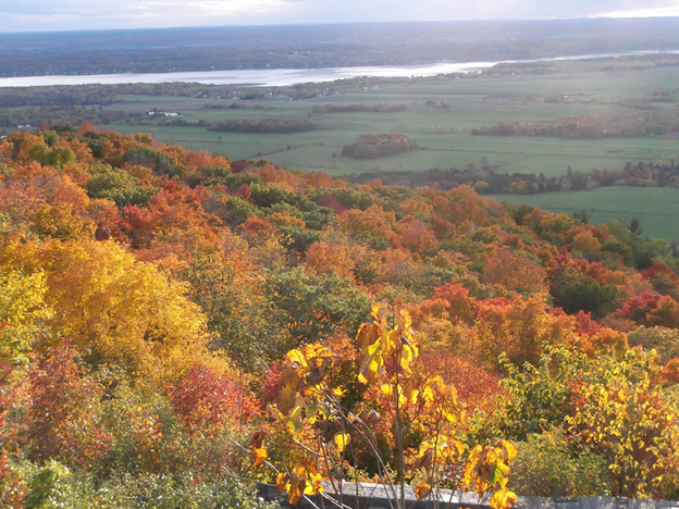 Autum colors in Quebec.