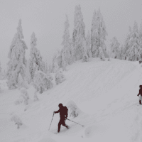 snowshoeing in fresh powder.
