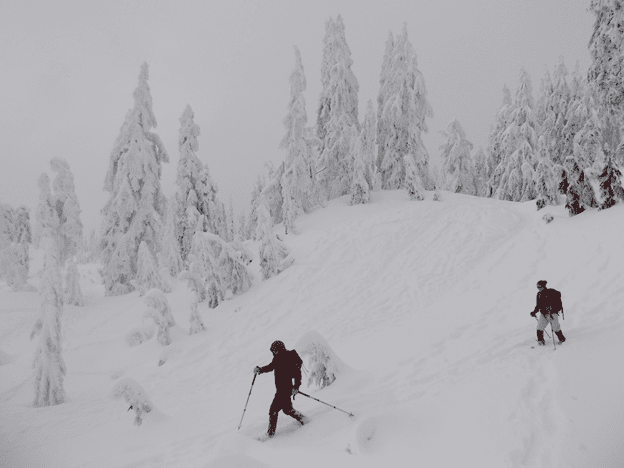 snowshoeing in fresh powder.