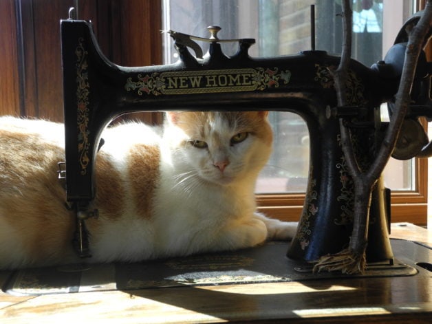 A cat lying next to a sewing machine.