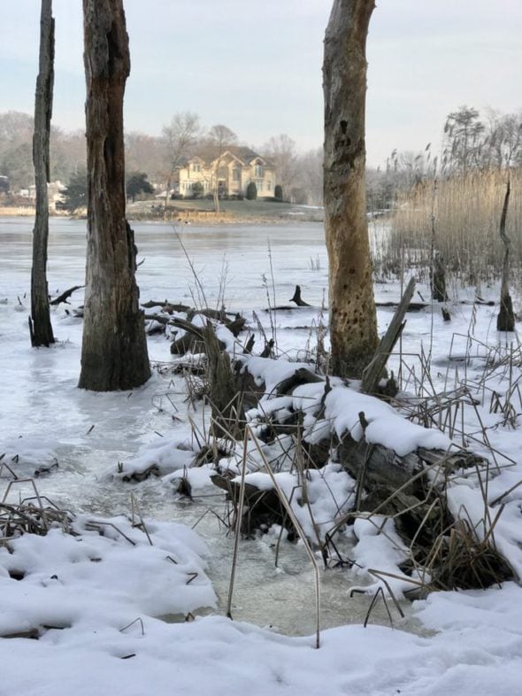 An icy river view.