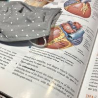 a mask on a textbook.