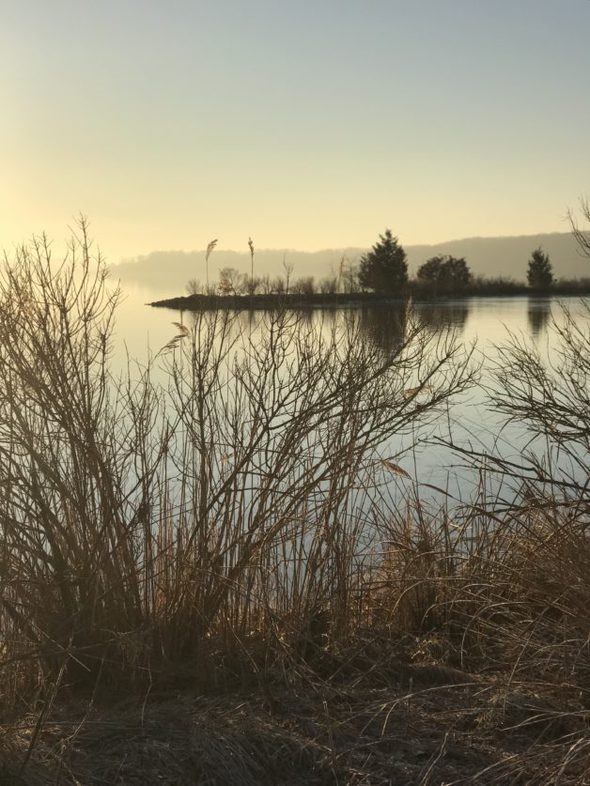 a morning view of a river.