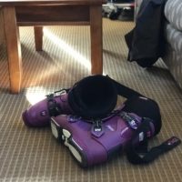 a pair of purple ski boots.