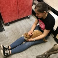 Kristen with a shelter cat on her lap.