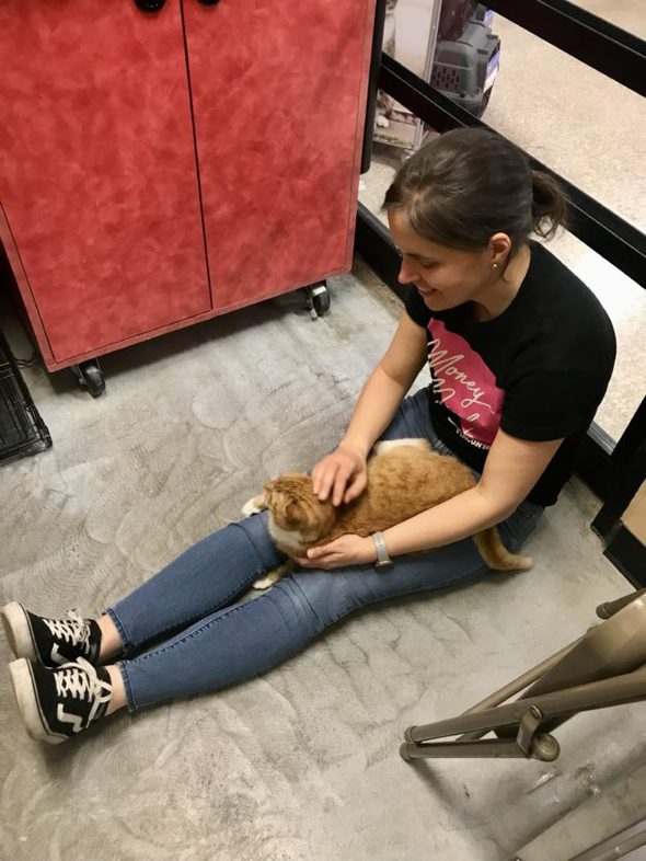 Kristen with a shelter cat on her lap.