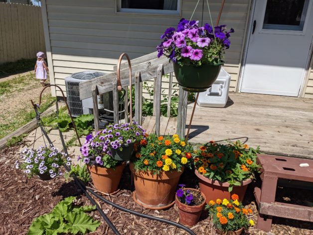 pots with blooming flowers.