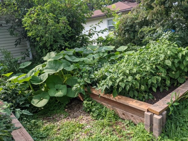 a raised veggie garden bed.