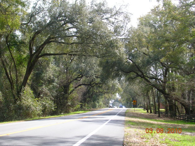 A florida road
