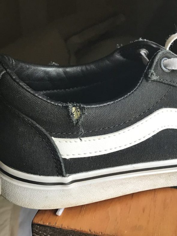 Black Vans shoe with a rip.
