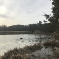 cloudy sky over a river.
