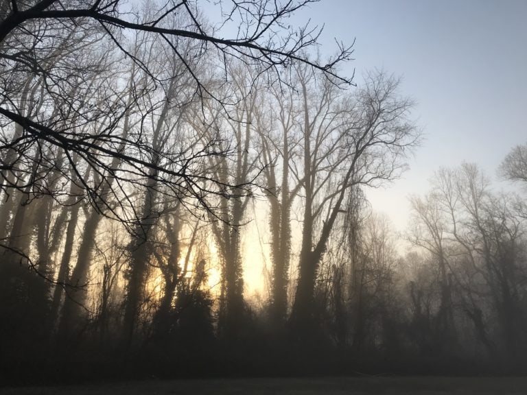 a foggy sunrise.