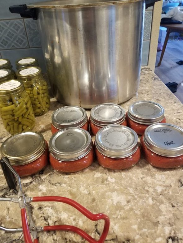 home-canned tomato sauce in jars.