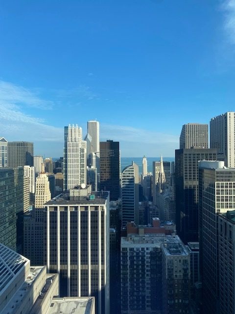 A view of the Chicago cityscape.