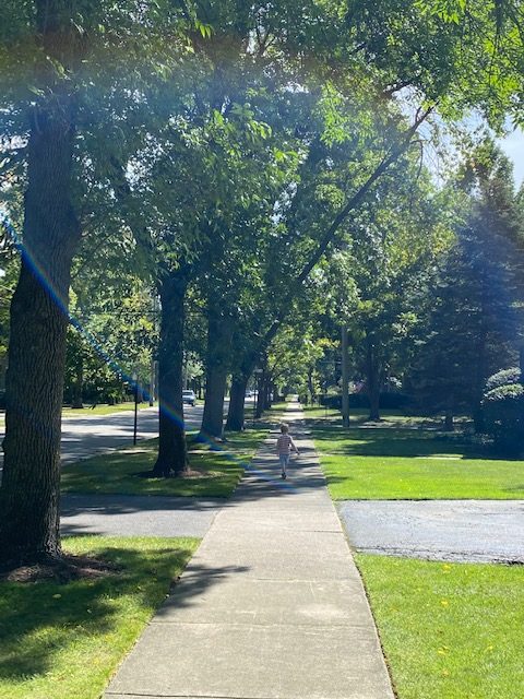 a neighborhood sidewalk in summer.