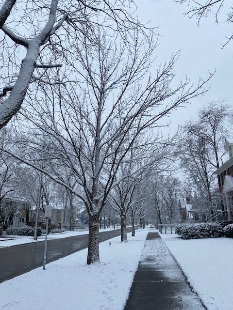 a snowy street.