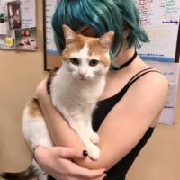 Zoe holding a calico cat.