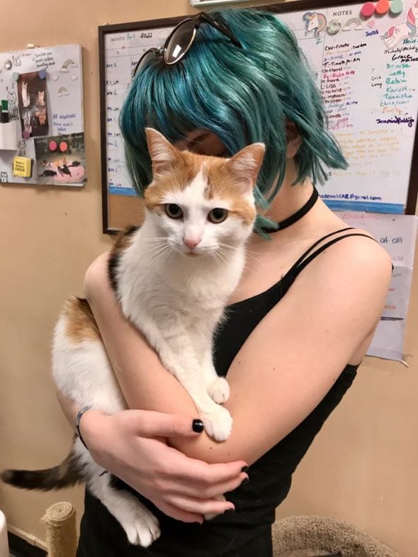 Zoe holding a calico cat.
