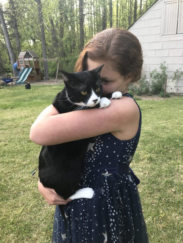 A girl holding a tuxedo cat.