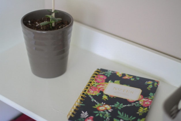 A flowered notebook on a white shelf.