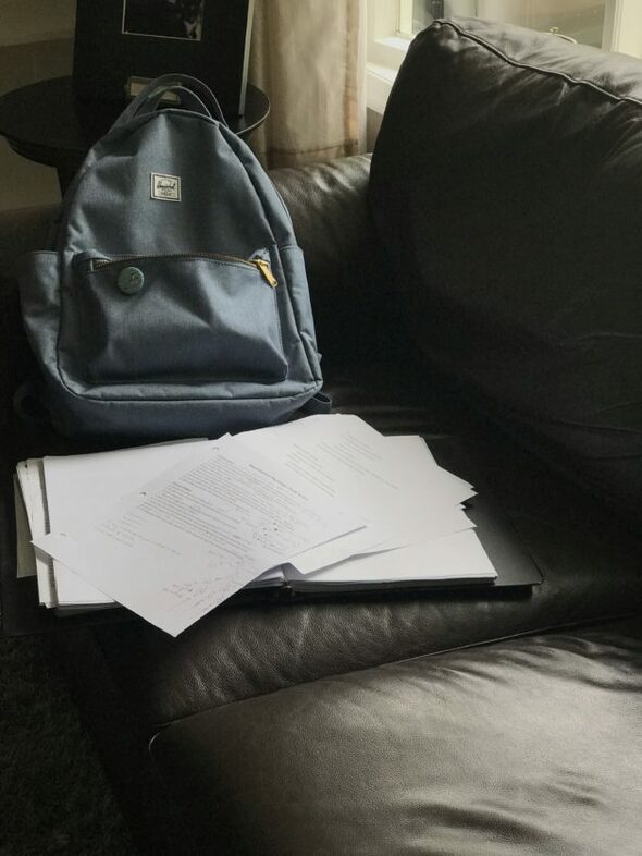 A backpack on a sofa.