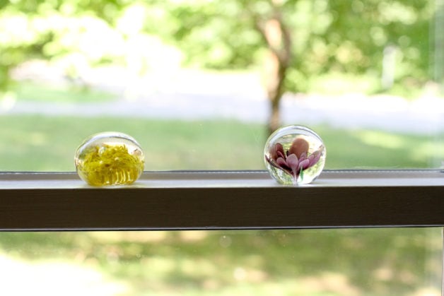 glass paperweights in a window.