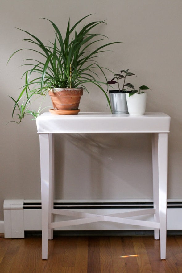 pink plant table.