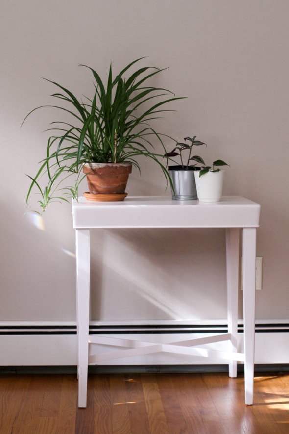 A pink table with three plants on it.