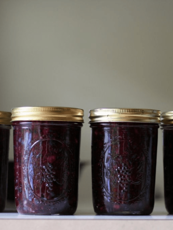 Why Freezer Jam Rocks (plus, a Blueberry Jam recipe) Story The Frugal