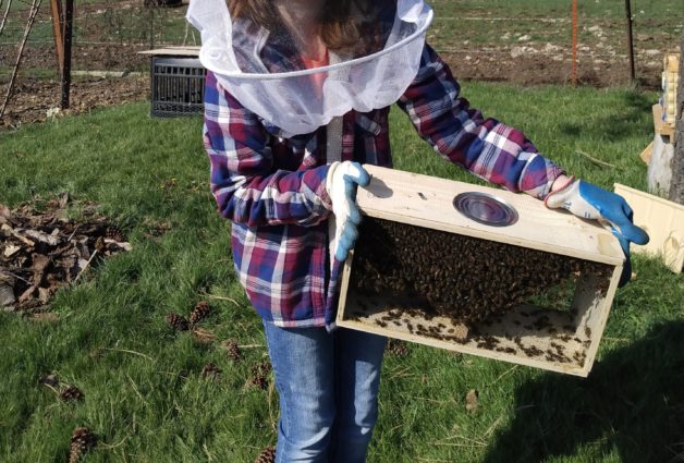 girl holding a box of bees.