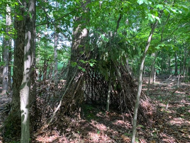 A fort in the woods.