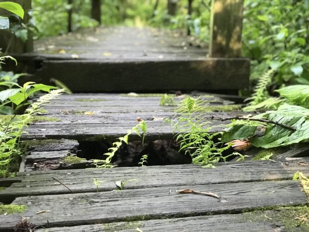 Dilapidated wooden bridge in the woods.