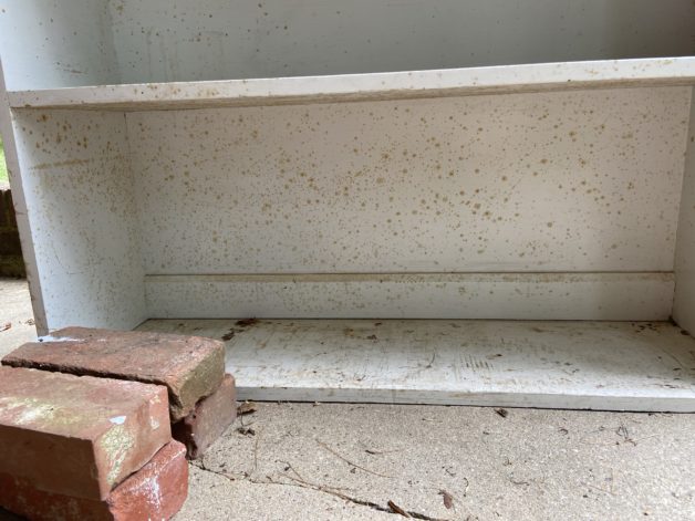 dirty white bookshelf.