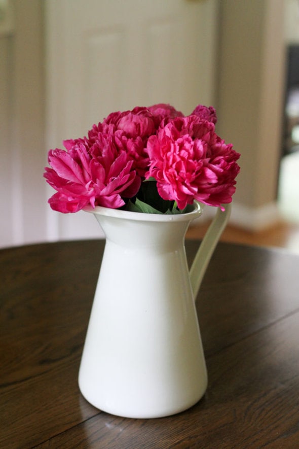 peonies in a white pitcher.