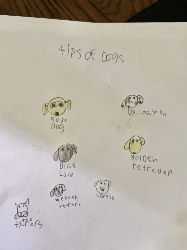 A kid's drawing of dog breeds.