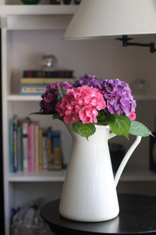 hydrangeas in a pitcher.