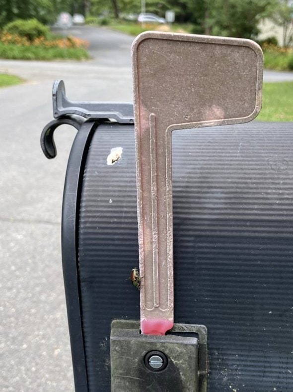 Mailbox with a faded flag.