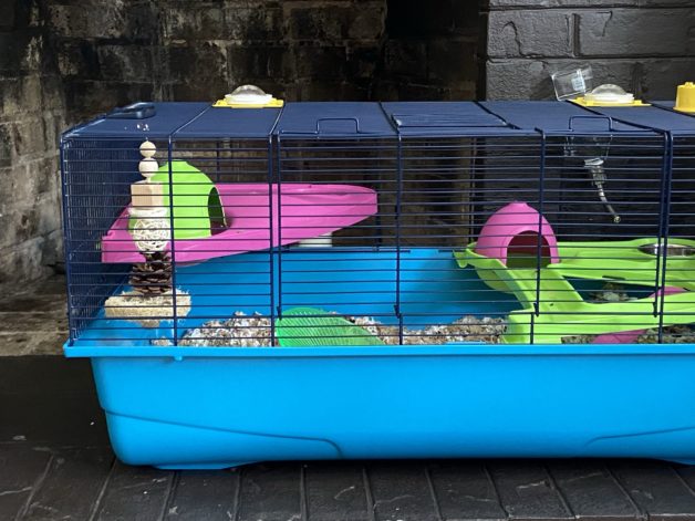 hamster cage.