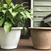 Two plant pots.