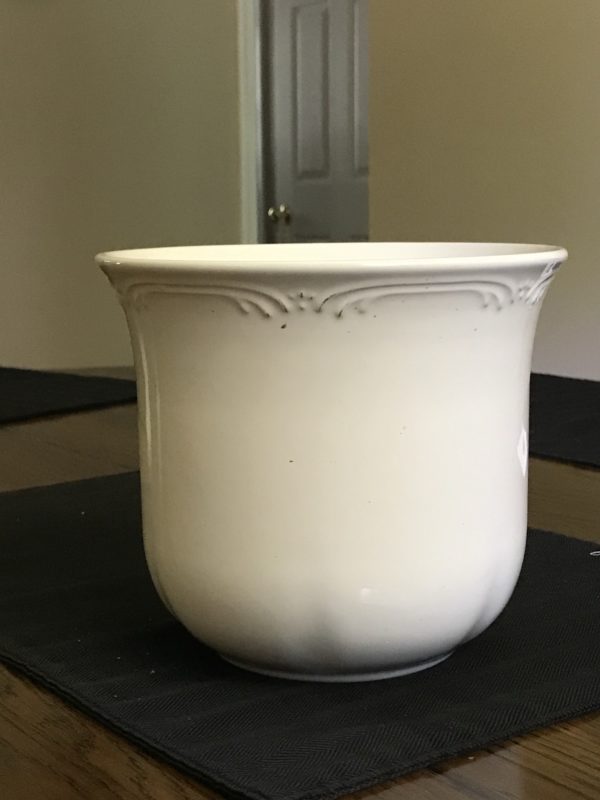 cleaned white plant pot.