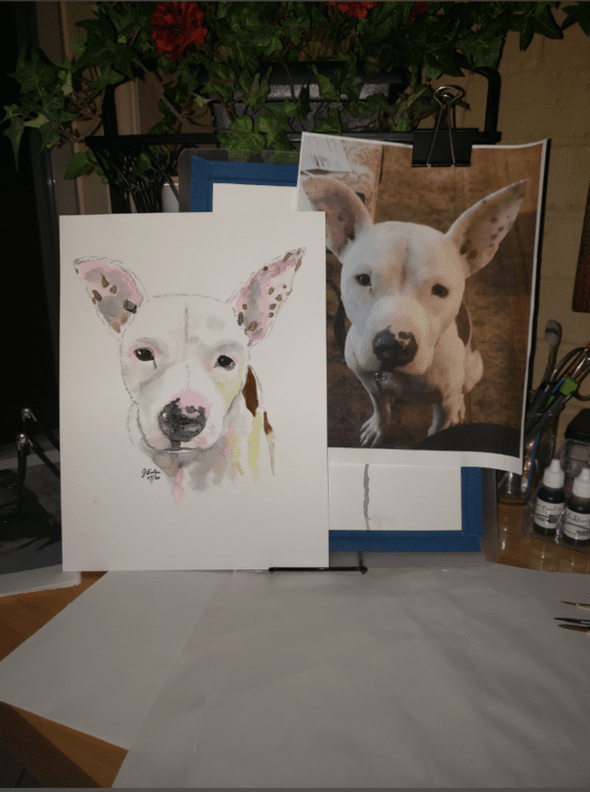 a dog portrait