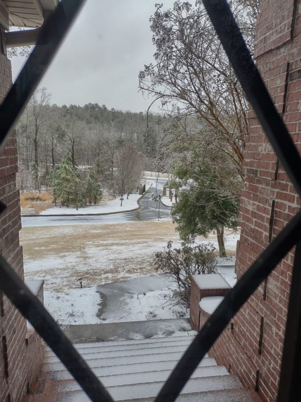 view out Jane's front door.