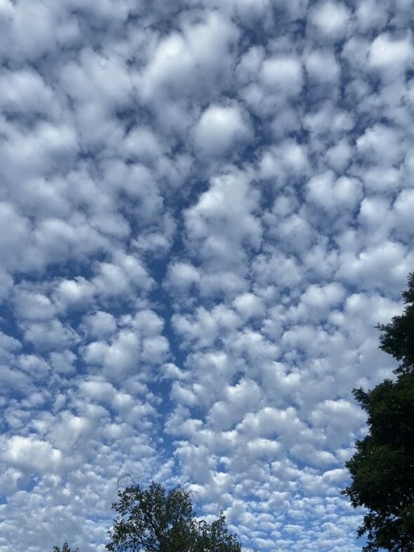 A blue sky dotted with clouds.