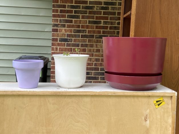 rehabbed free pots.