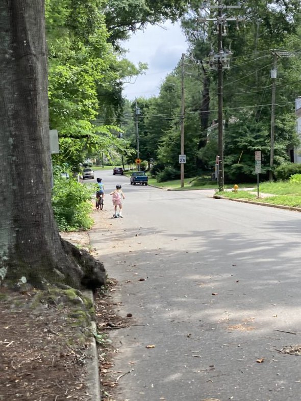 a neighborhood street in summer.