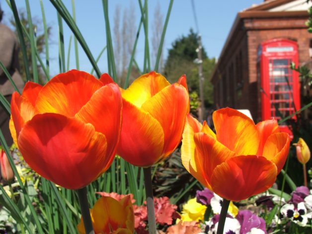 flowers at a railway station.