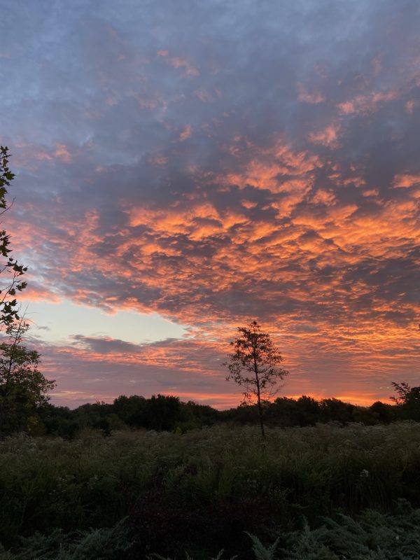 red sky at sunrise.