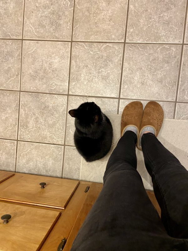 Kristen cat sitting on the floor next to her.