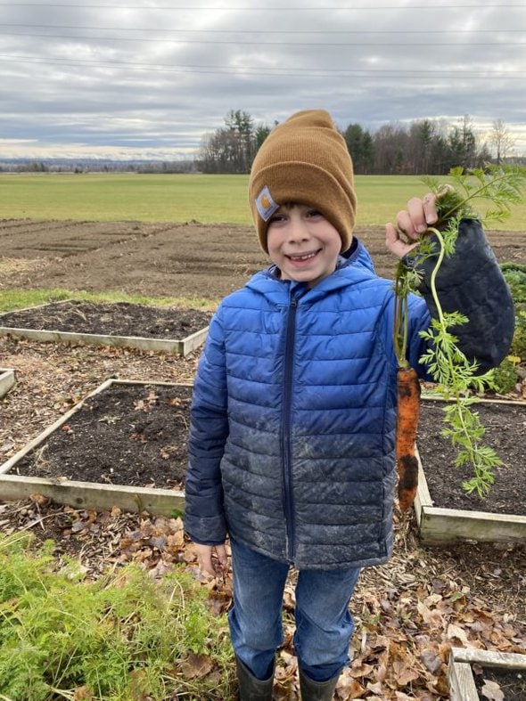 A boy holding a just-pulled carrot.