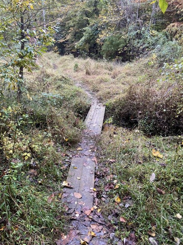 small bridge on trail.